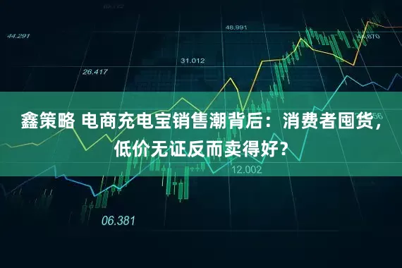 鑫策略 电商充电宝销售潮背后：消费者囤货，低价无证反而卖得好？