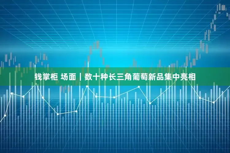 钱掌柜 场面｜数十种长三角葡萄新品集中亮相