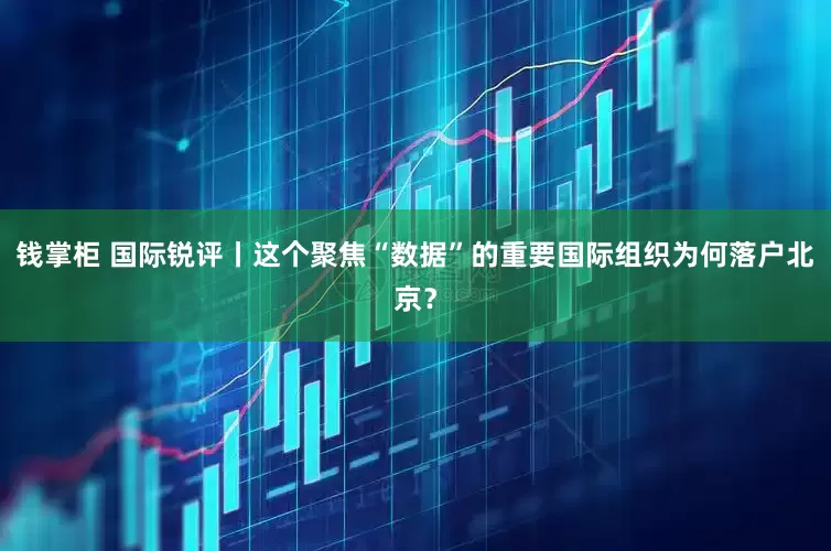 钱掌柜 国际锐评丨这个聚焦“数据”的重要国际组织为何落户北京？